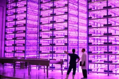 Indoor Farm mit LEDs