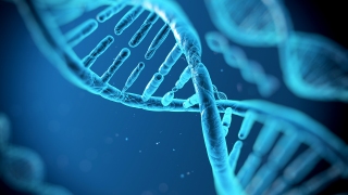 jesus dna dna gene blut grabtuch von turin turiner grabtuch jaques de molay untersuchung wissenschaft tests nazareth drusen druse sudarium kreuzigung nägel nagel fersenbein johannes der täufer mike vo mars blog