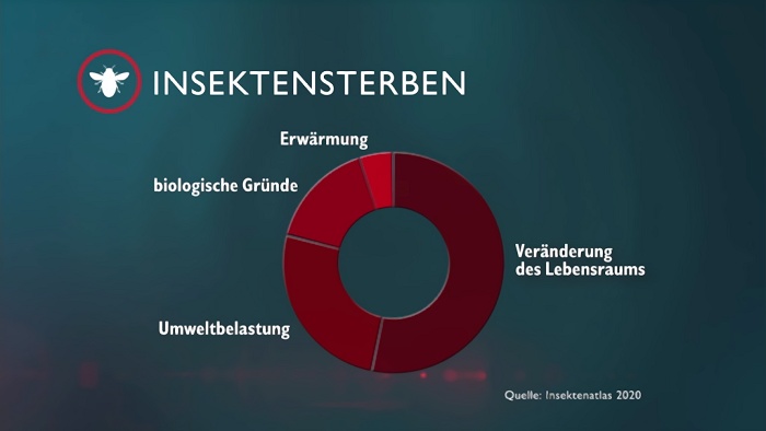 monokultur insektensterben flachenfrass flachenverbrauch siedlungsbau biotope ackerflachen flachenvernichtung mike vom mars blog