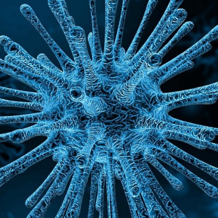 corona pandemie seuche ansteckung coronatest impfung grippe influenza kinder immun vollbart händewaschen küssen mike vom mars blog