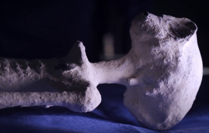 nazca mumien weisse mumien leandro sarmiento geoglyphen nazca linien aliens ausserirdische autopsie mike vom mars blog