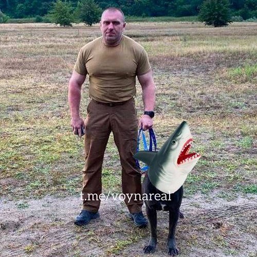 ukraine krieg putin taktische karte verlauf front lyman sloviansk kupiansk izium kramatorsk kherson kharkiv oskil soledar bakhmut belgorod kachowka damm gesprengt mike vom mars blog